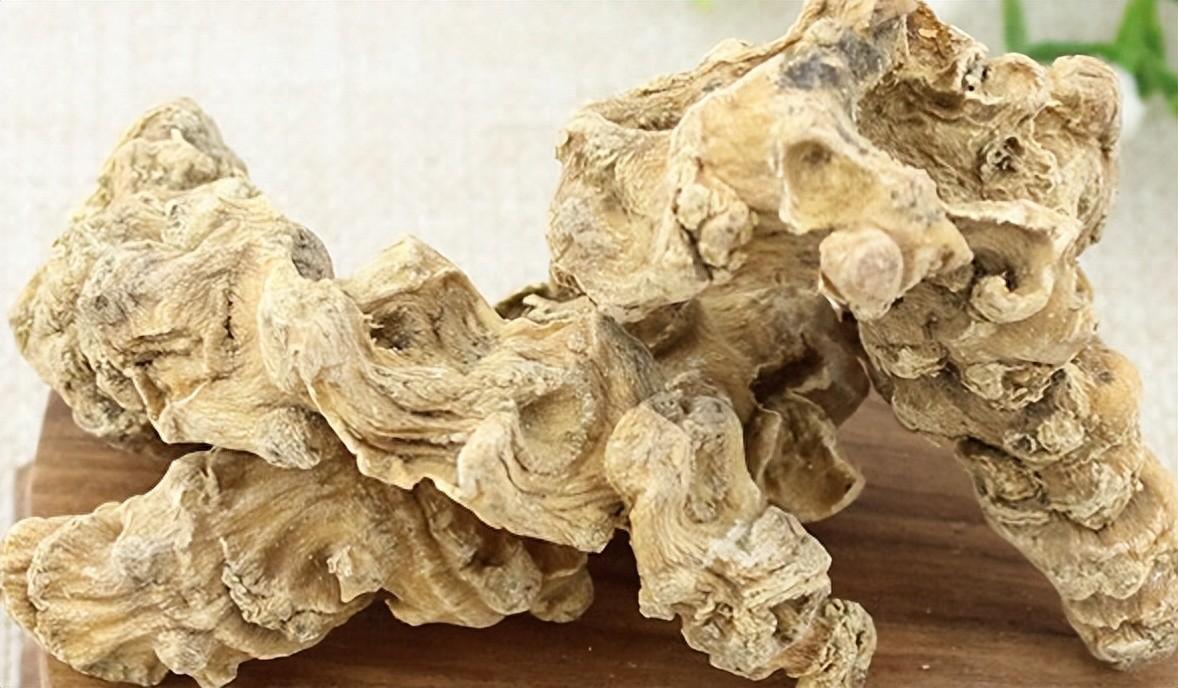 一味药泡水喝，上治脱发，中治痰湿，下治腰痛，从头管到脚！作品声明：个人观点、仅