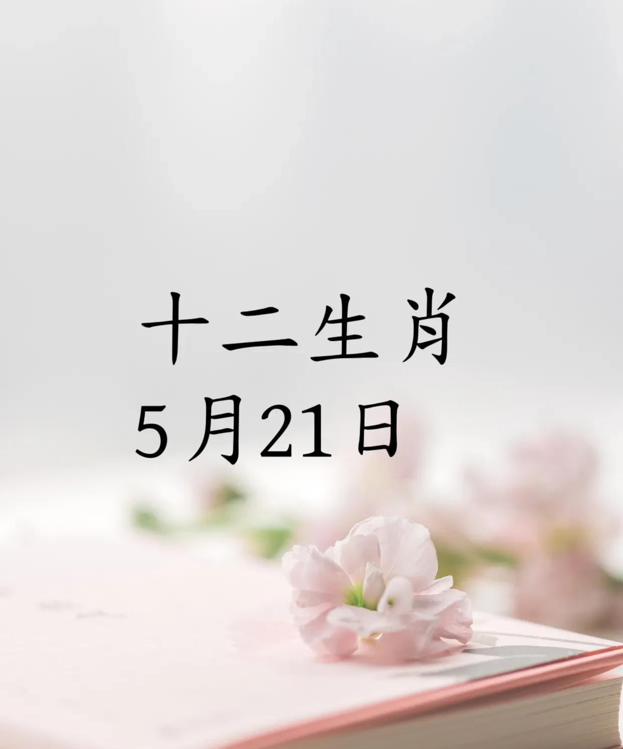 十二生肖5月21日：幸运生肖前四名：4.生肖狗：三合吉星入命，赚钱轻松。