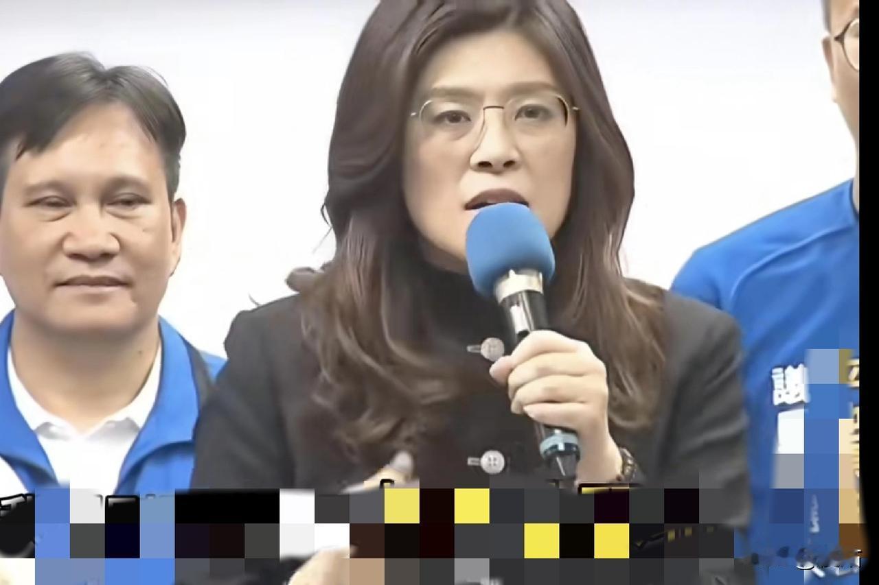 郑丽文还是为季麟连“平反”了，她说：“昨天的中常会上，季副主席是激动了一点，但语