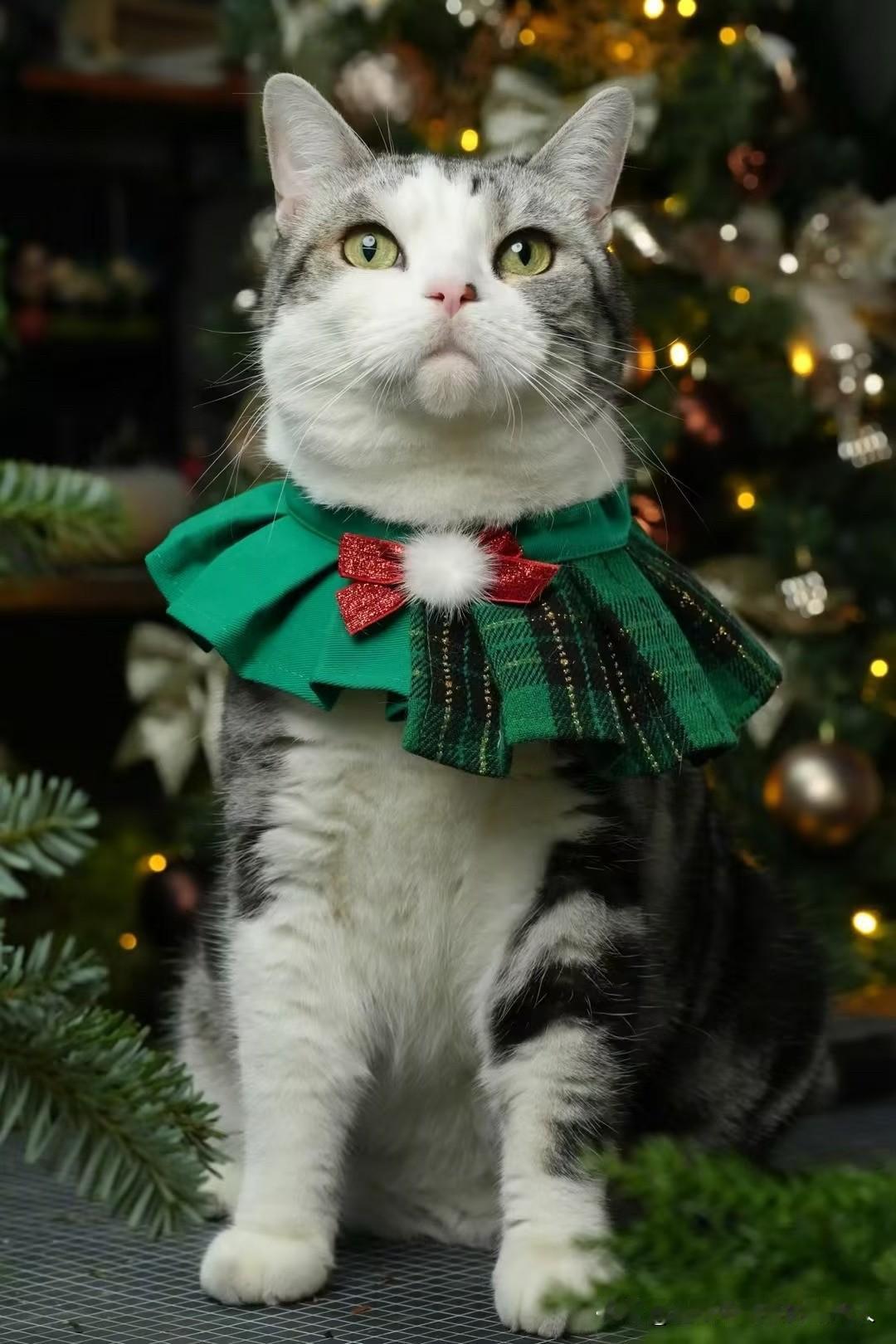 奉劝大家一句，最后不到的两个月宁愿在家休息，也不要出门找工作，因为现在的招聘大