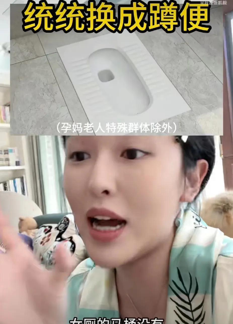 张凯毅说，请把女厕所的马桶取消简直说出了广大女性的心声啊，天天去商场上厕所，