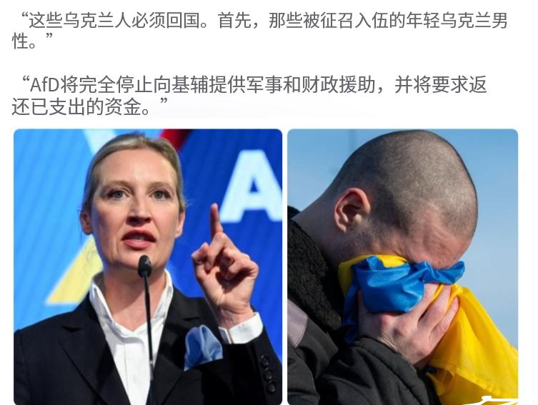 现在让泽连斯基彻夜难眠的，可能远在千里之外的德国柏林。德国选择党联合主席魏德尔接