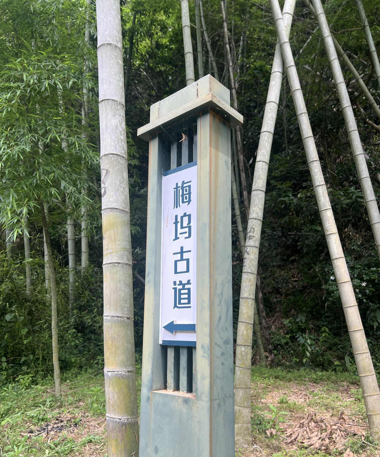 今天这走一走：梅坞古道