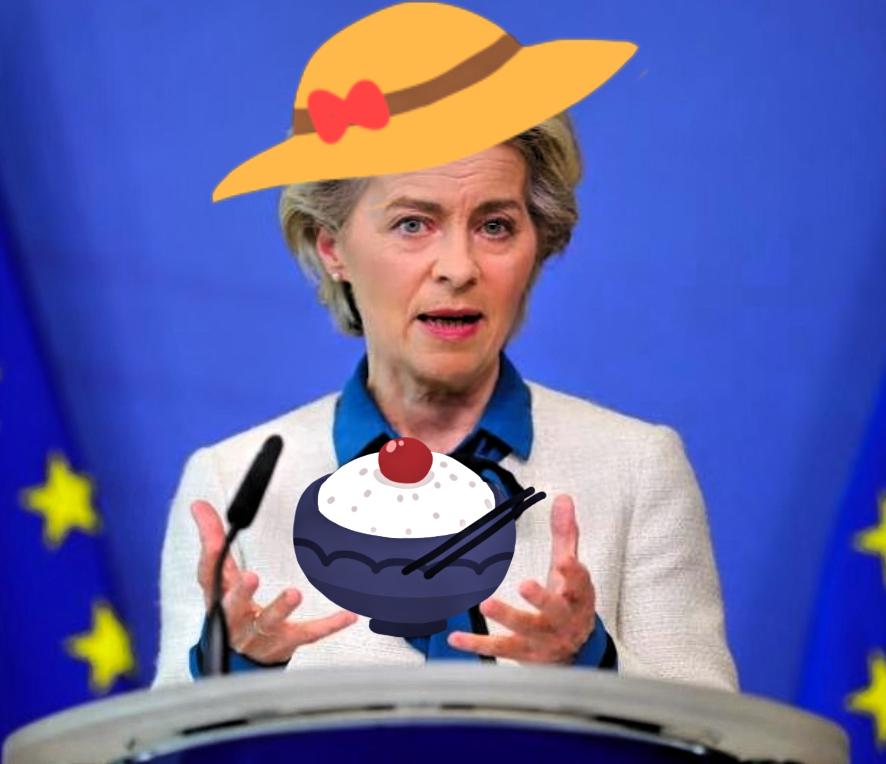 不可思议，欧盟这回是真把“自毁长城”玩明白了。1月26日，27个成员国居