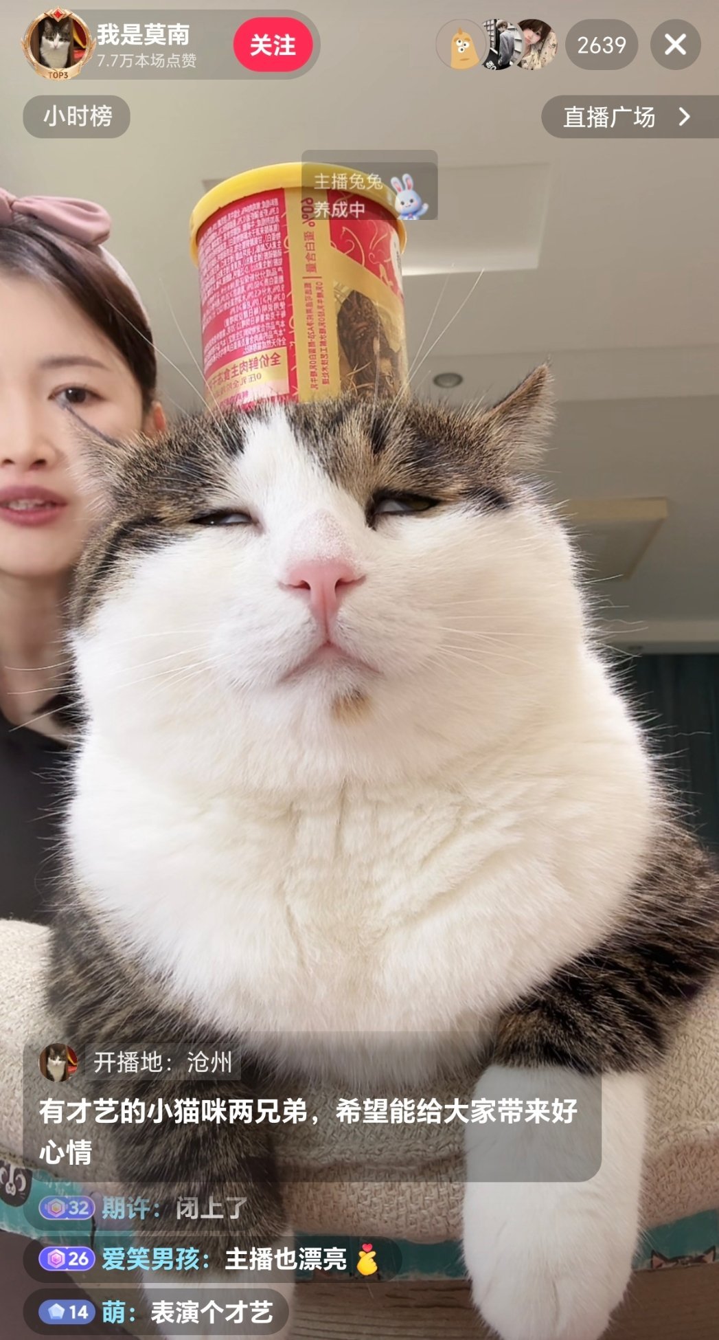 逐渐翻白眼哈哈哈哈