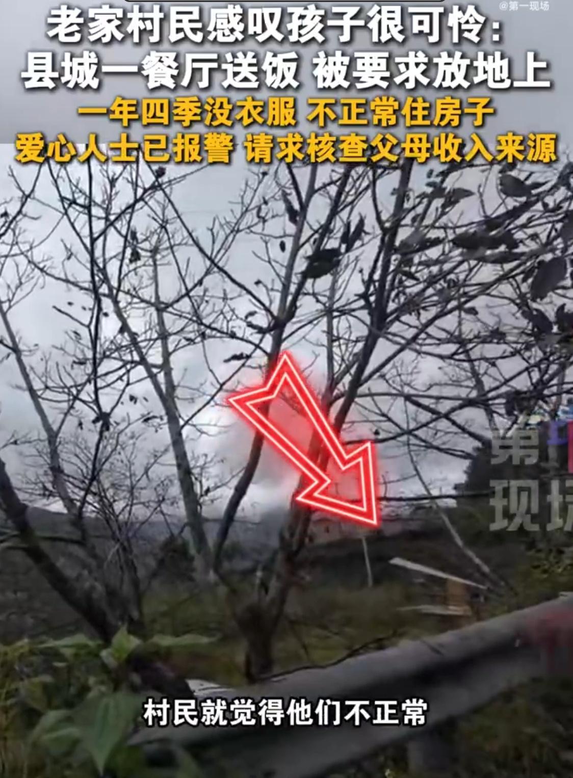 村民称野人小孩一年四季不穿衣简直就是恐怖故事，能剥夺他们的抚养权吗？送福利院都好
