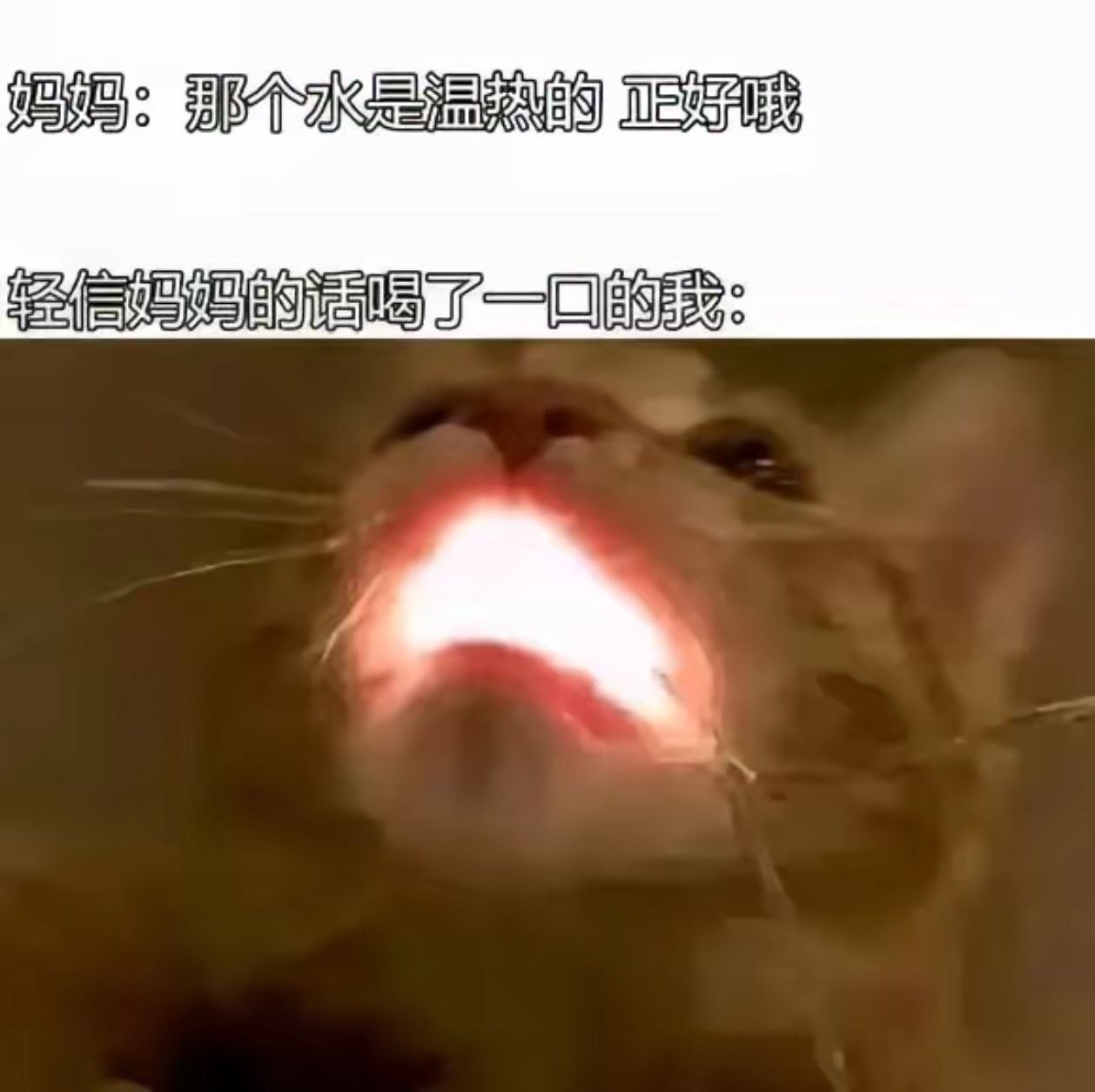 烫烫烫烫烫烫烫