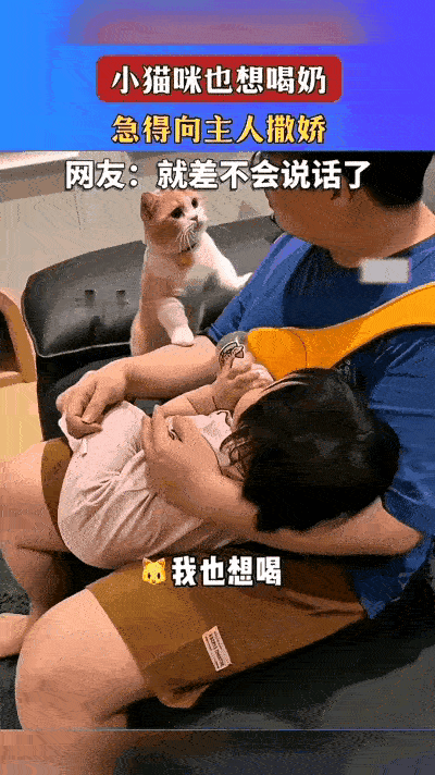 原来家里有娃有宠，真的是世间最温柔的光景！男主人温柔地抱着小女儿，细心地给