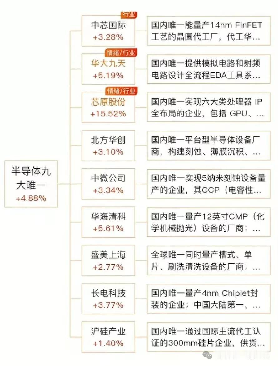 产半导体9大唯一性龙头名单半导体九大“唯一”企业，尽显硬核实力！中芯国际国内唯