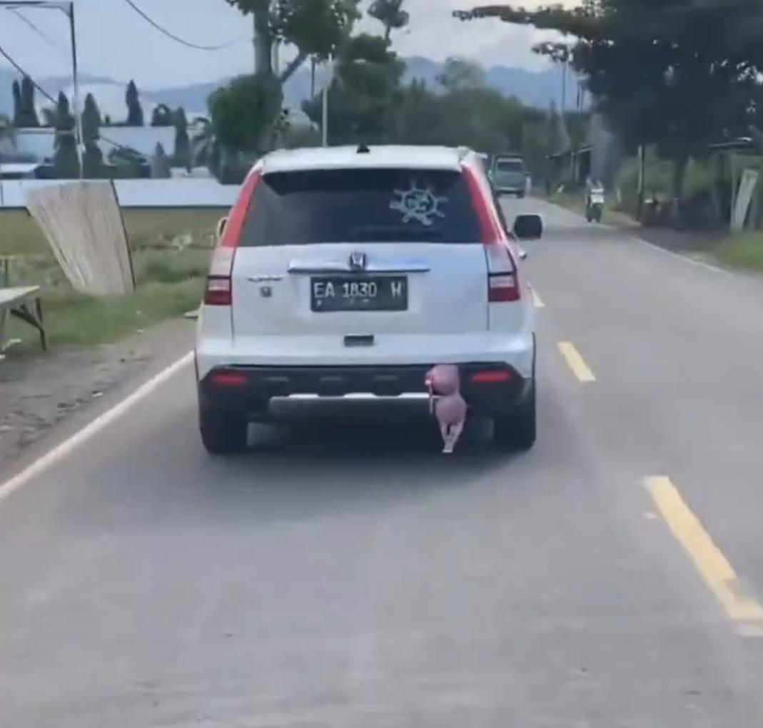 印度某地一辆白色本田CR-V在公共道路上行驶，后保险杠排气管上方挂着一件带吊牌的