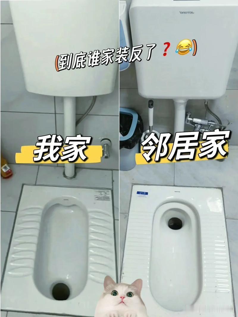 去邻居家串门憋不住上厕所，一进卫生间，瞬间浑身不自在今天傍晚闲着没事，去隔壁