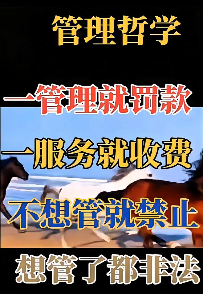 好像有点道理，精辟。