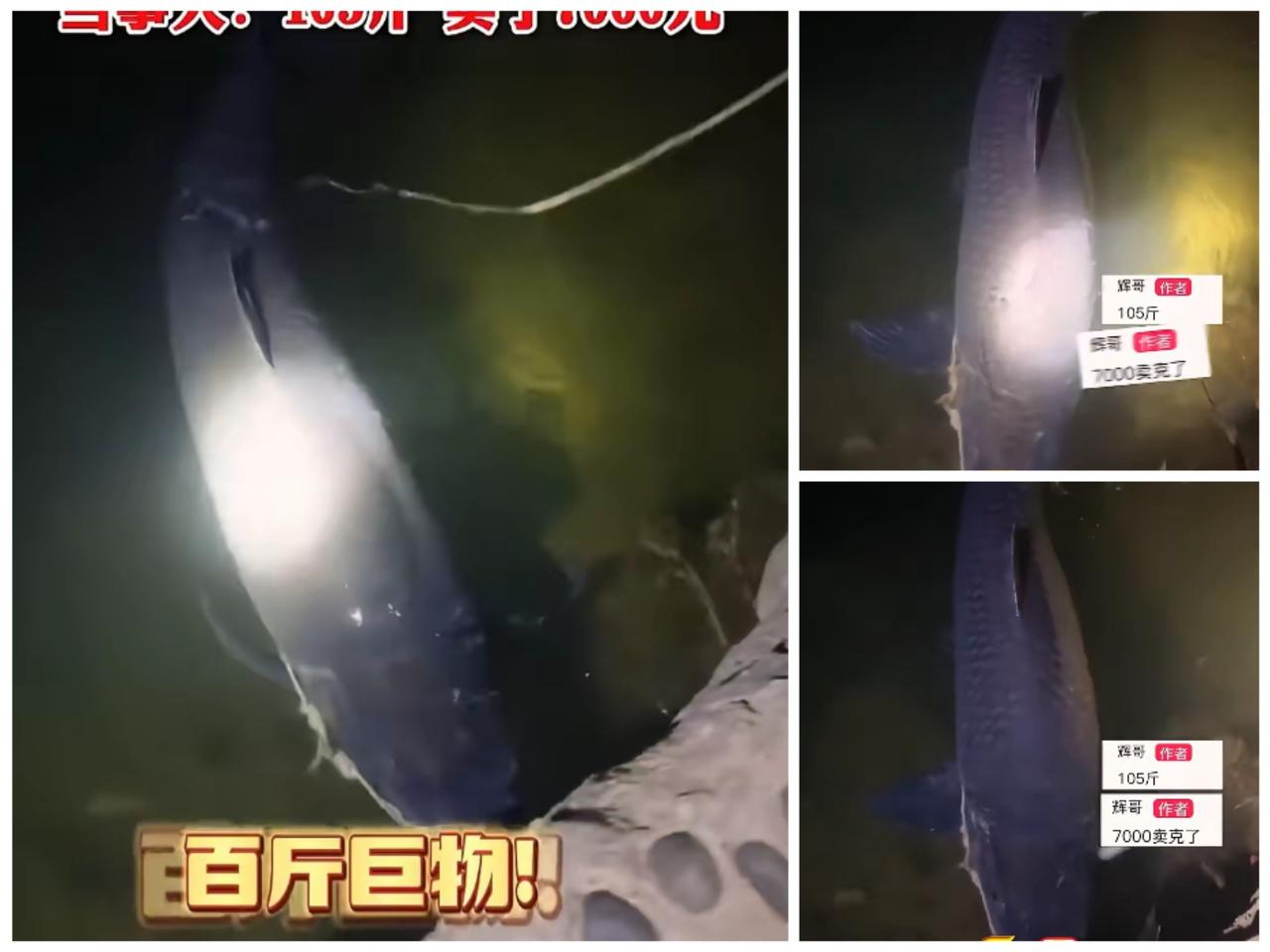 柳州男子夜钓赚7000元还被骂“亏大了”，这事儿背后藏着大多数人都踩过的坑！