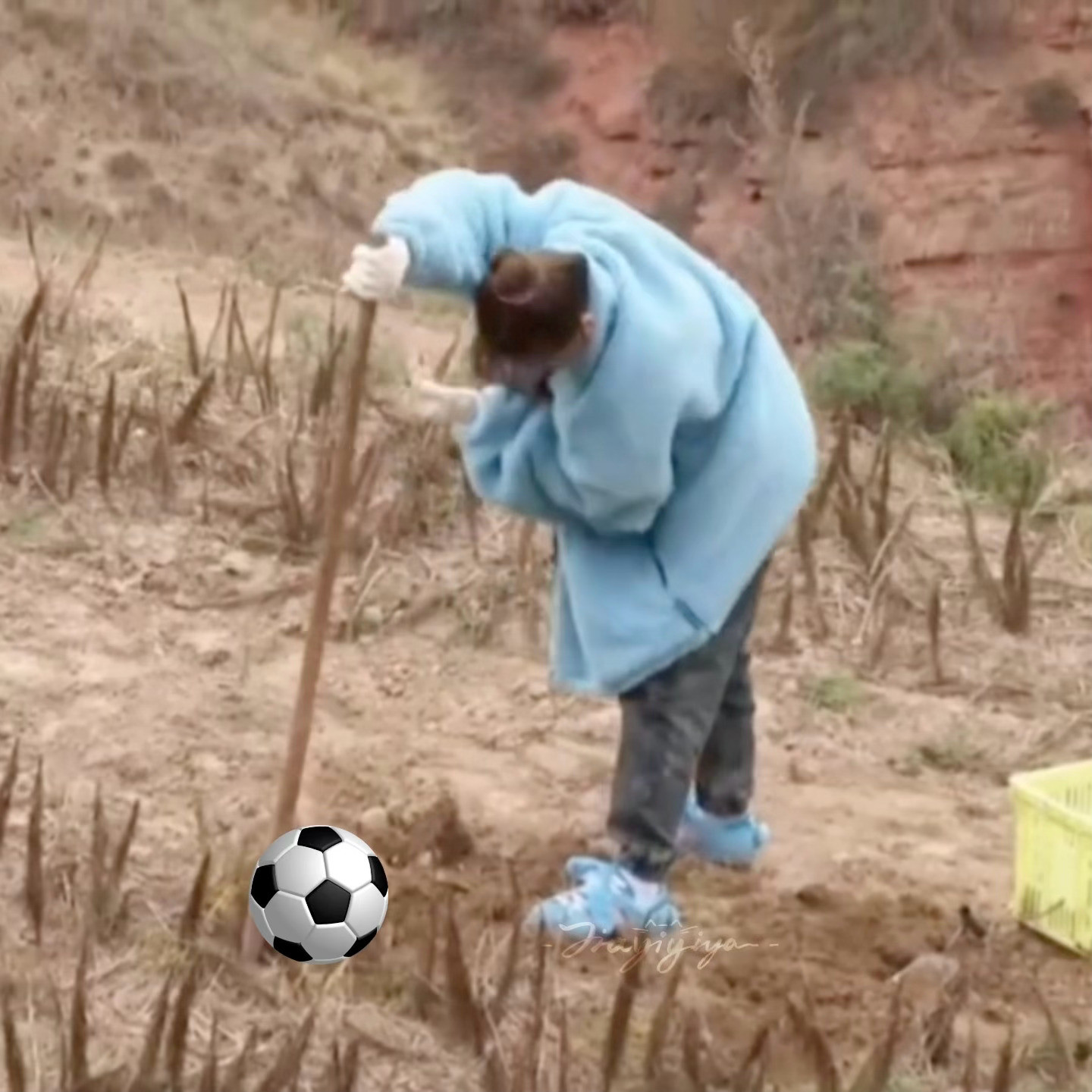 加油加油⚽️虞书欣种地吧