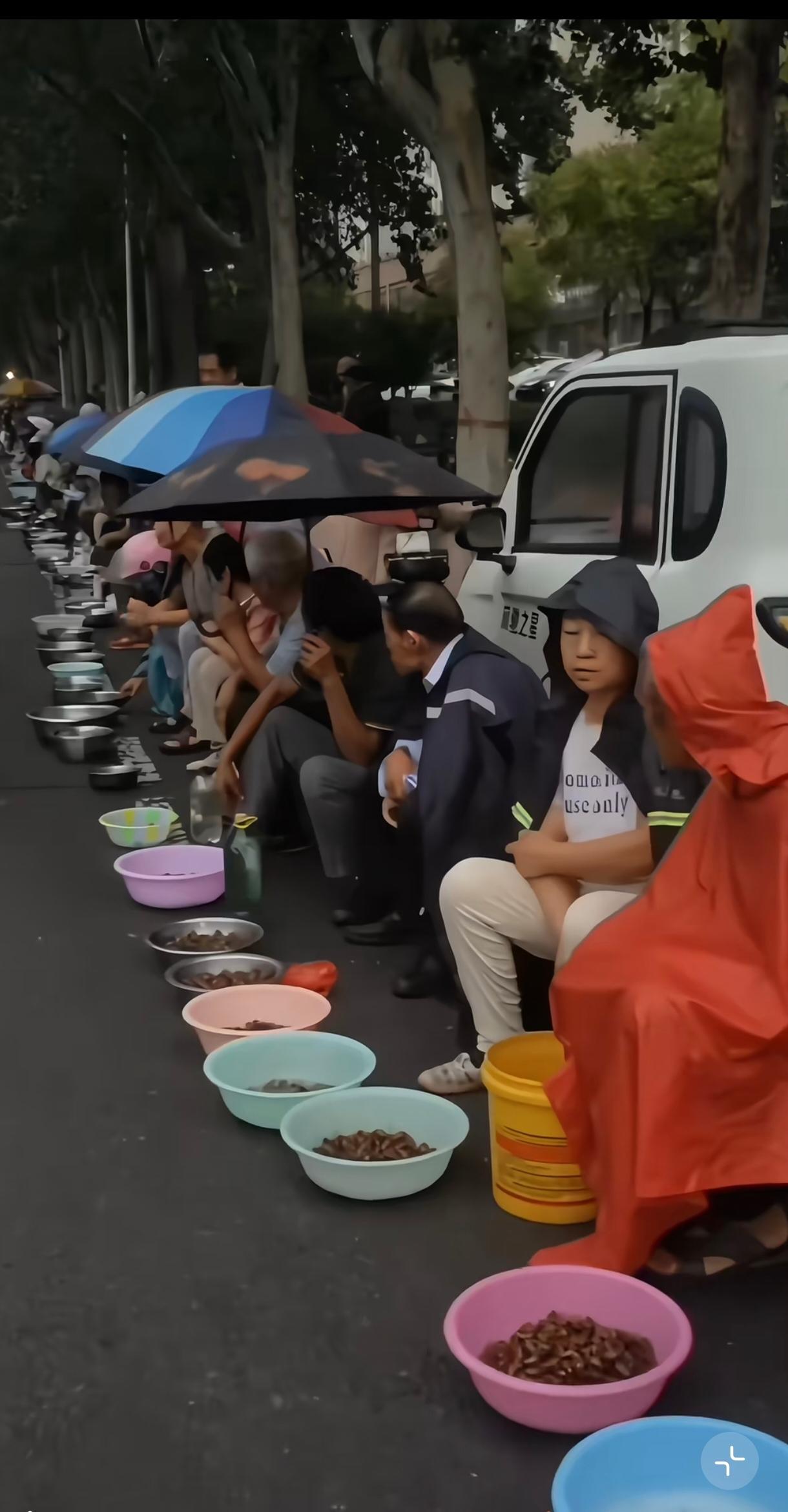 好壮观的收爬叉大军，也就是蝉，可以油炸、烤、炖、凉拌，是下酒菜。是不少地方的夏日