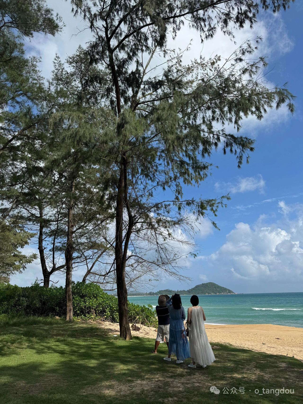 头回听王芗斋先生说"拔地欲飞"，我站那半天没动。心想这是要飞哪儿去？有一