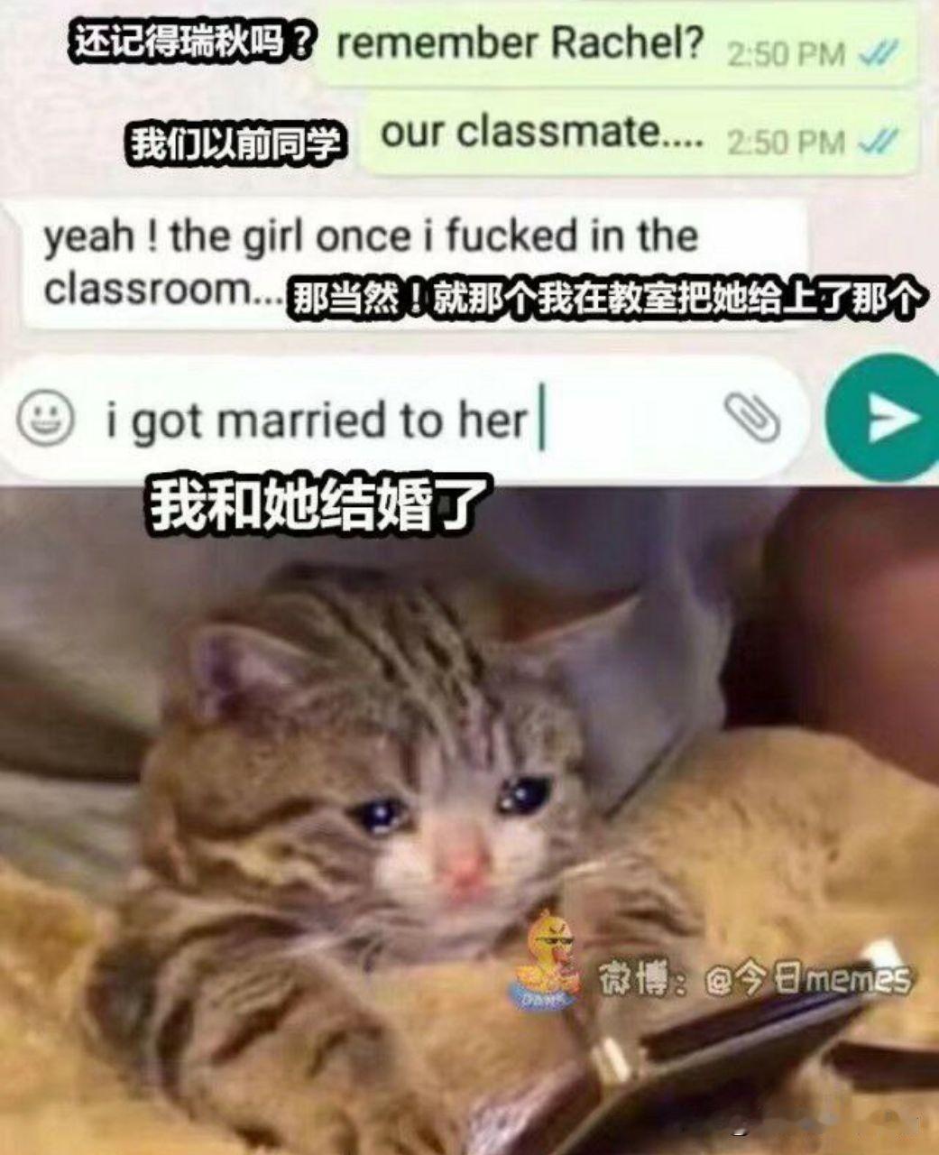 隔着屏幕感受到了悲伤