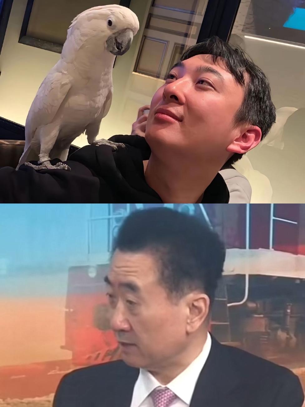 现在的王思聪慌得很，老爸那边股权冻了好几亿，难怪最近换女朋友都少了。这哥们