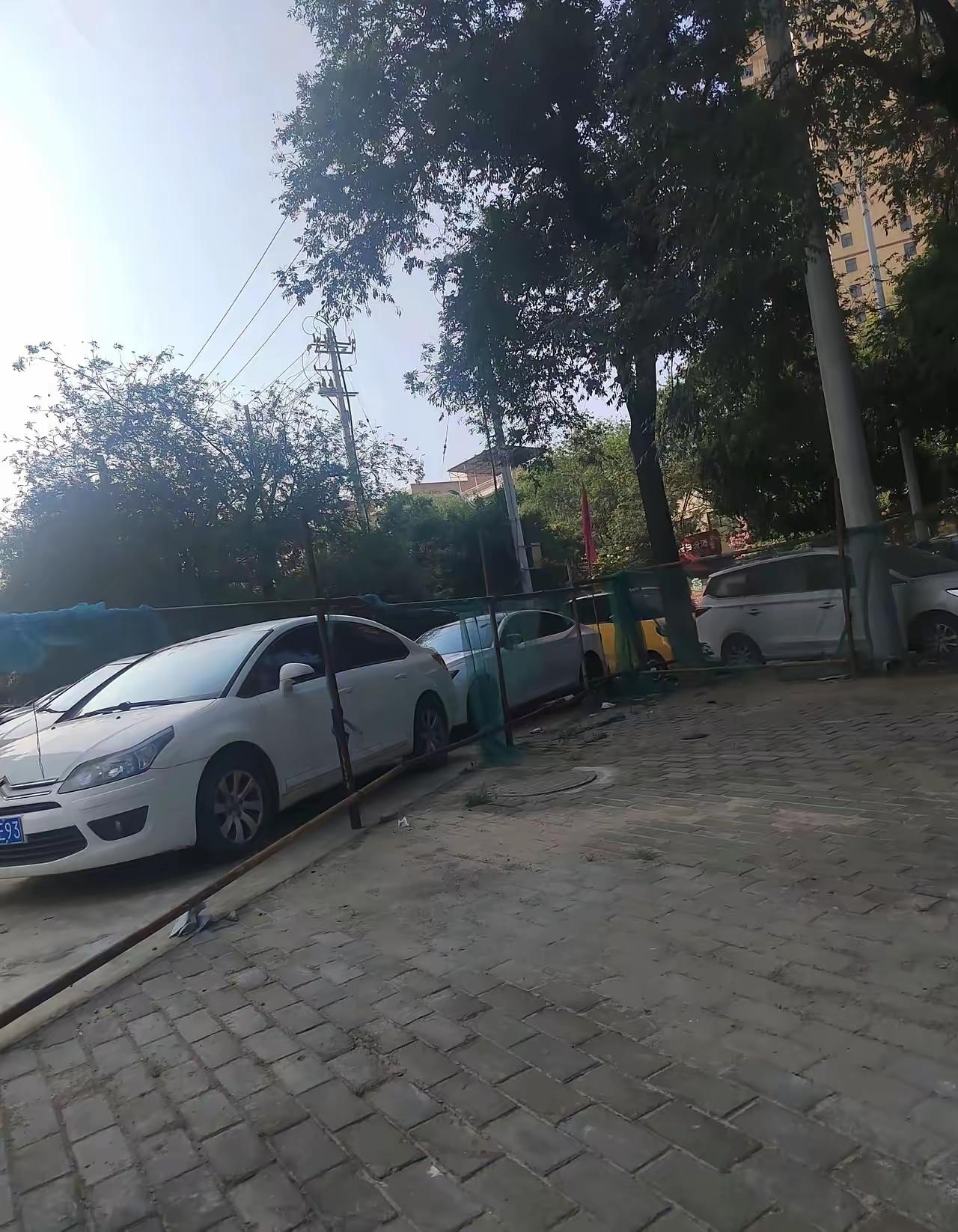 这次回农村发现一个奇怪的现象，农村那些没有什么文凭，甚至连初中也没有上到头的后生