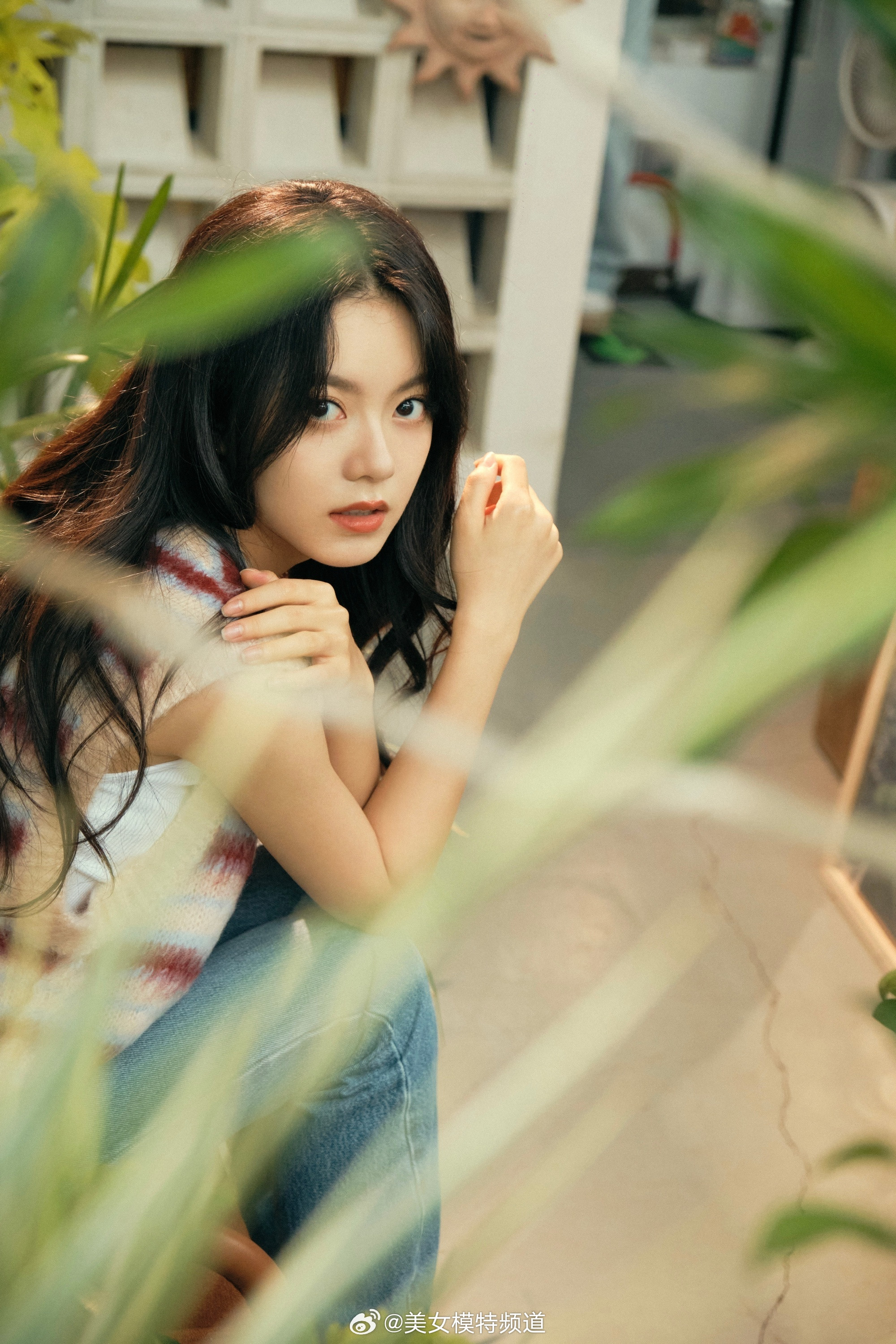 赵今麦童话森林花房美图