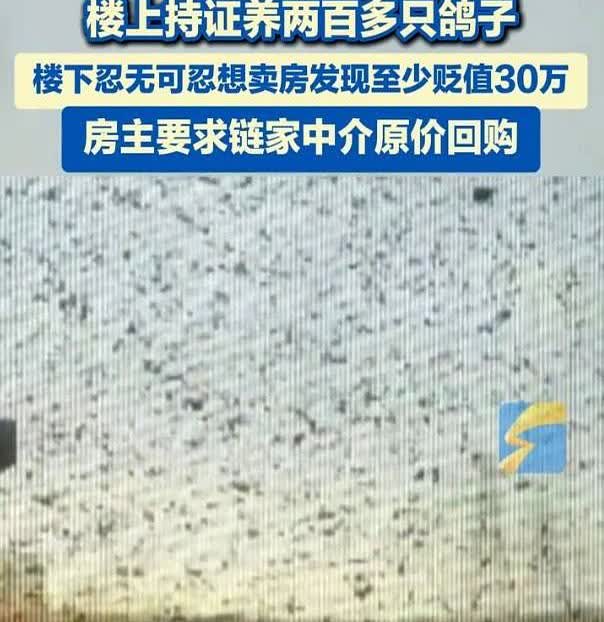 “太坑人了！”北京，男子花了235万通过中介买了套房子，本来想着安安稳稳过日子，