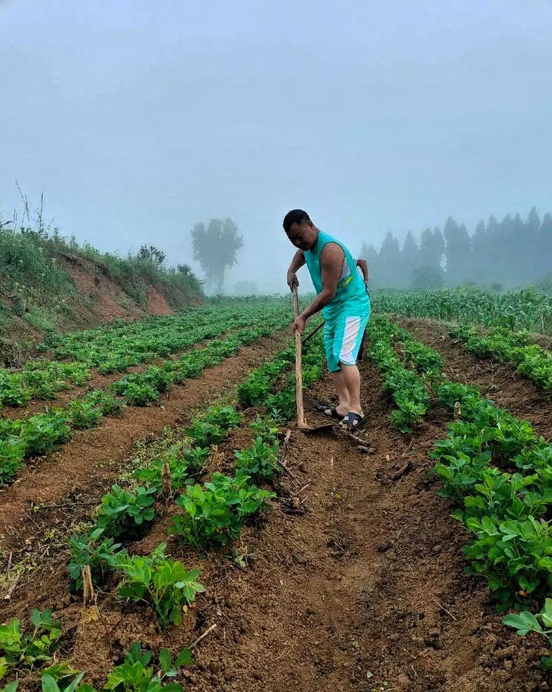 这个医生医术绝对精湛[赞]1月14日，一媒体报道，浙江省台州市一40多岁未婚男