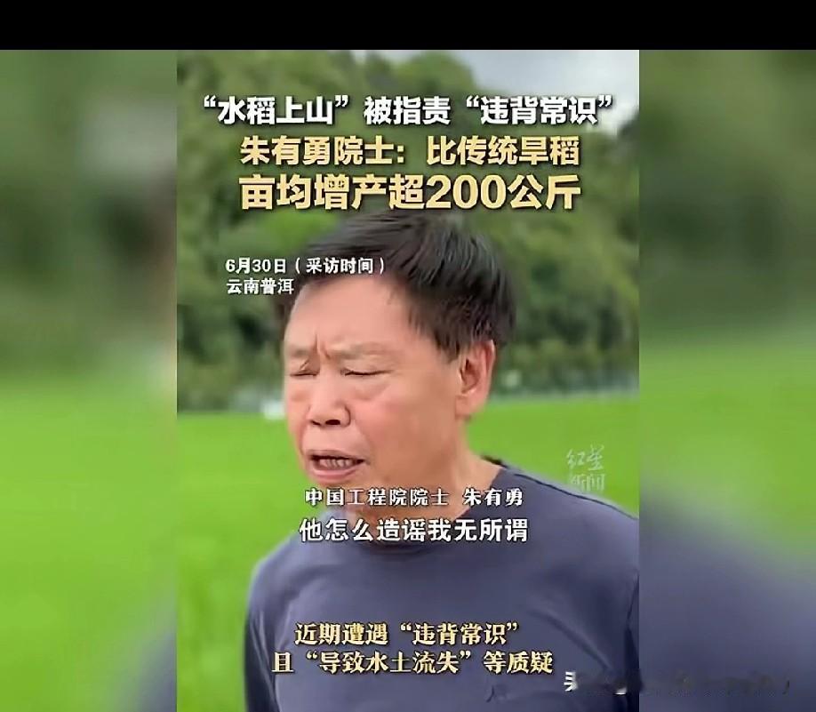 朱有勇院士直言！！水稻上山，是为了让山里人吃饱饭！朱有勇院士说，外界对“
