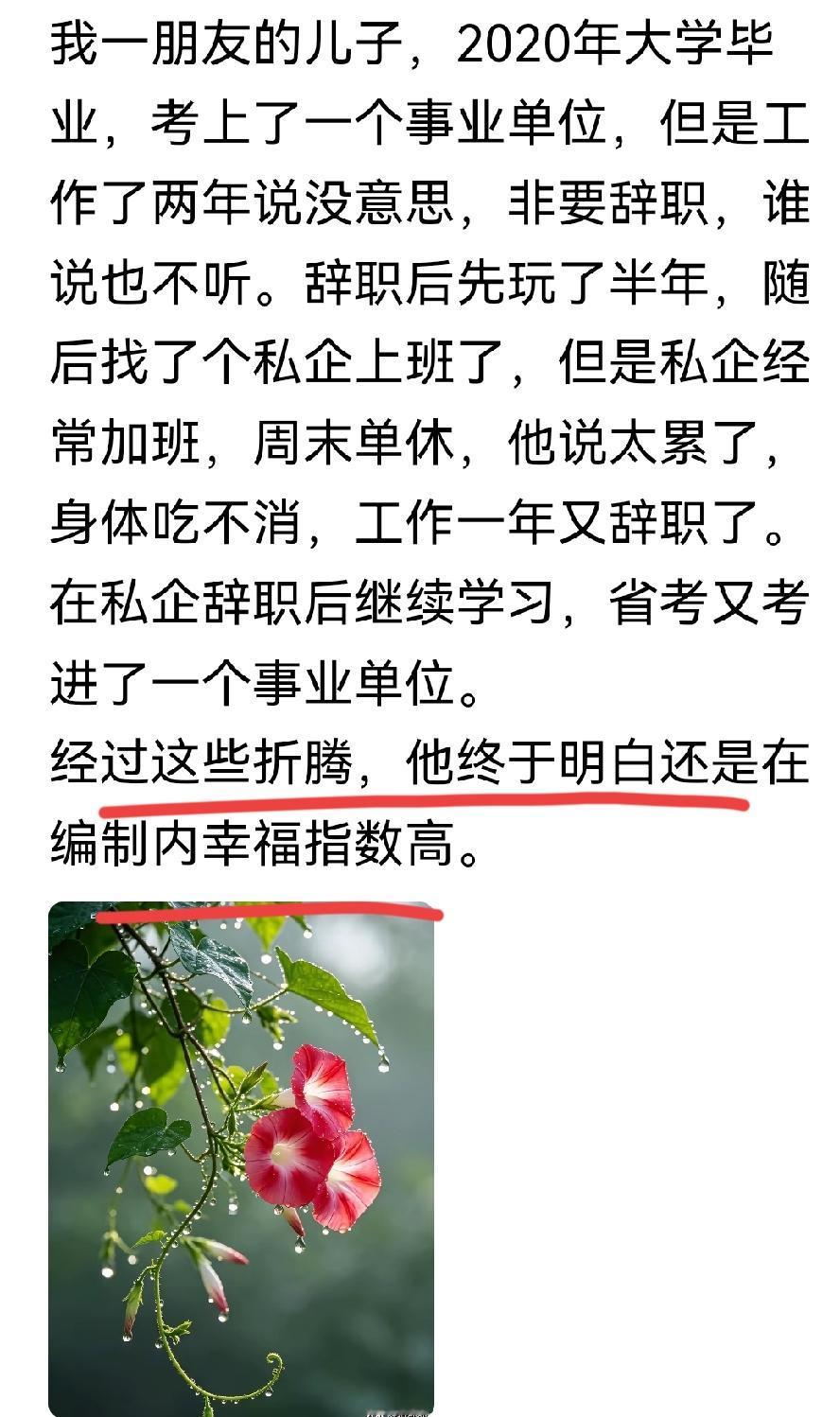 辞了事业编，进了私企，然后到底还是考进了事业编。明白考公考编这几年为啥这么火
