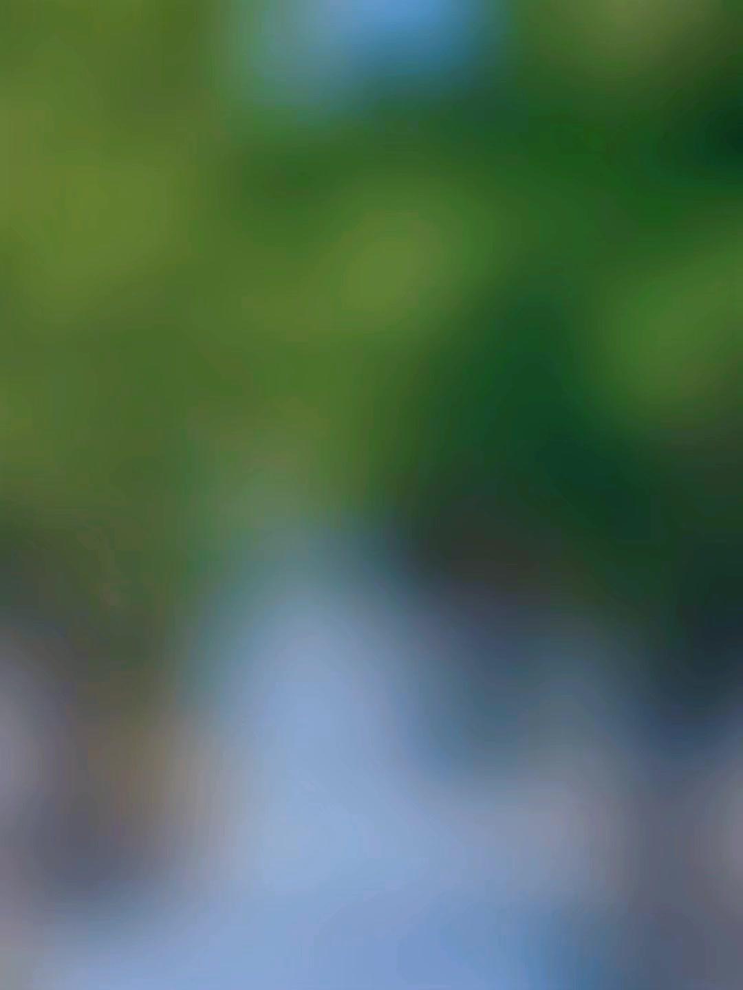 文科生选专业其实很简单，主要分两条路。如果想考公，那专业比学校更重要，比如民办的