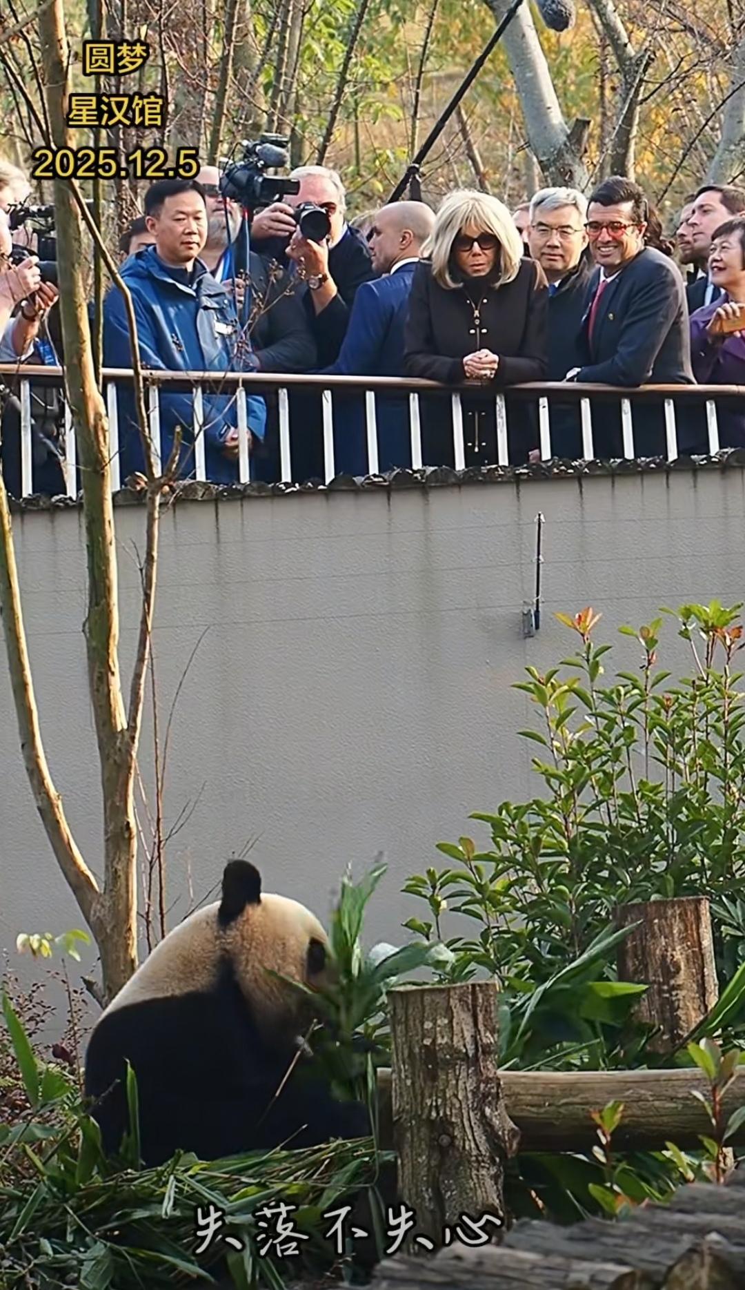 12月5日，布里吉特去了成都大熊猫基地来看“园梦”了，她穿着白色大衣，搭配深色套