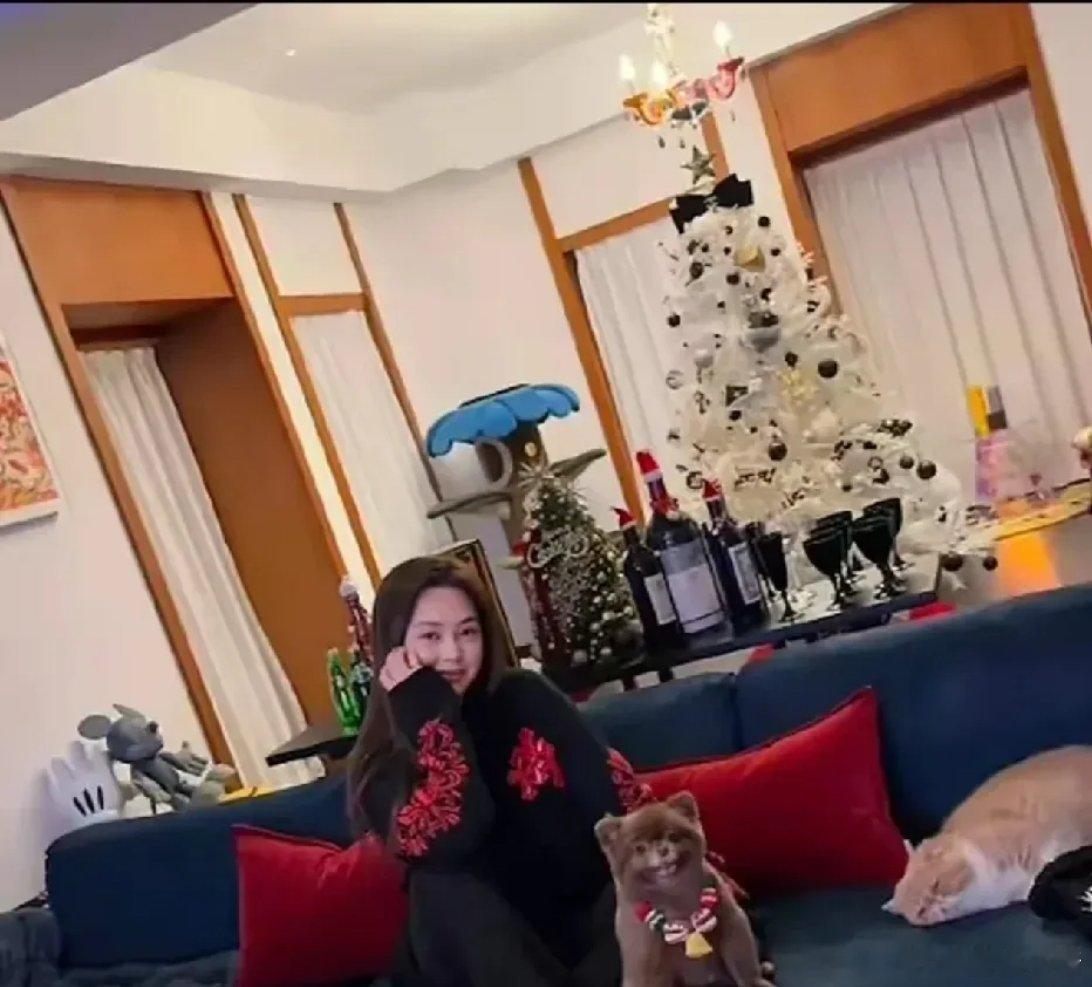 演员阿娇的北京大豪宅，一个人独居生活，与宠物猫为伴，有钱有闲的生活，也是很惬意的