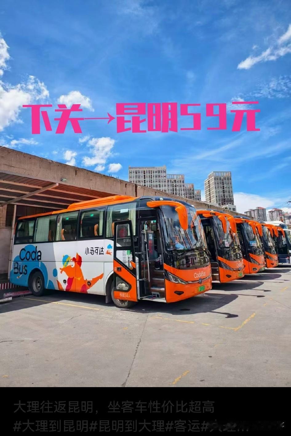 🚎昆明到大理的巴士票居然才59元每人，这价格比高铁二等座便宜了快一半，周末想冲