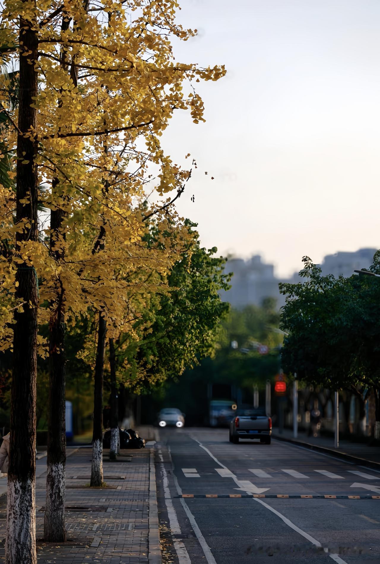 前几天刷到有人说“失业=人生崩盘”，吓得我赶紧想起自己去年那段待业的日子——讲真