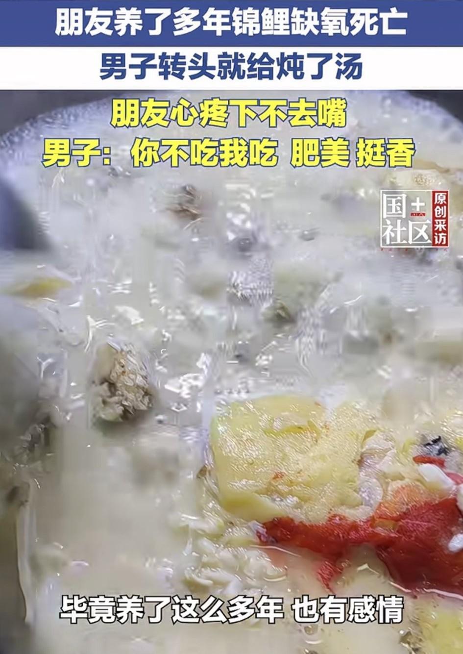 山东滕州，男子的朋友养了一条锦鲤，一养就是3年，前不久因为缺氧死了。那鱼个头不小