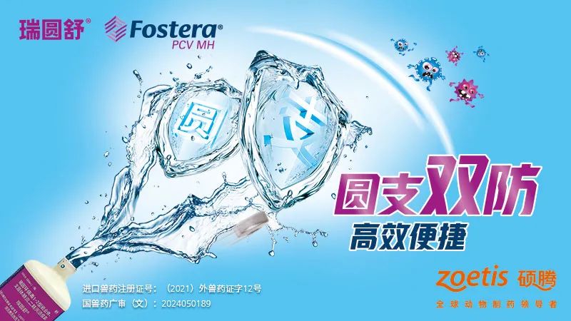 “老农人”刘永好喊话养殖户: 别躺平! 猪周期的苦日子快到头了