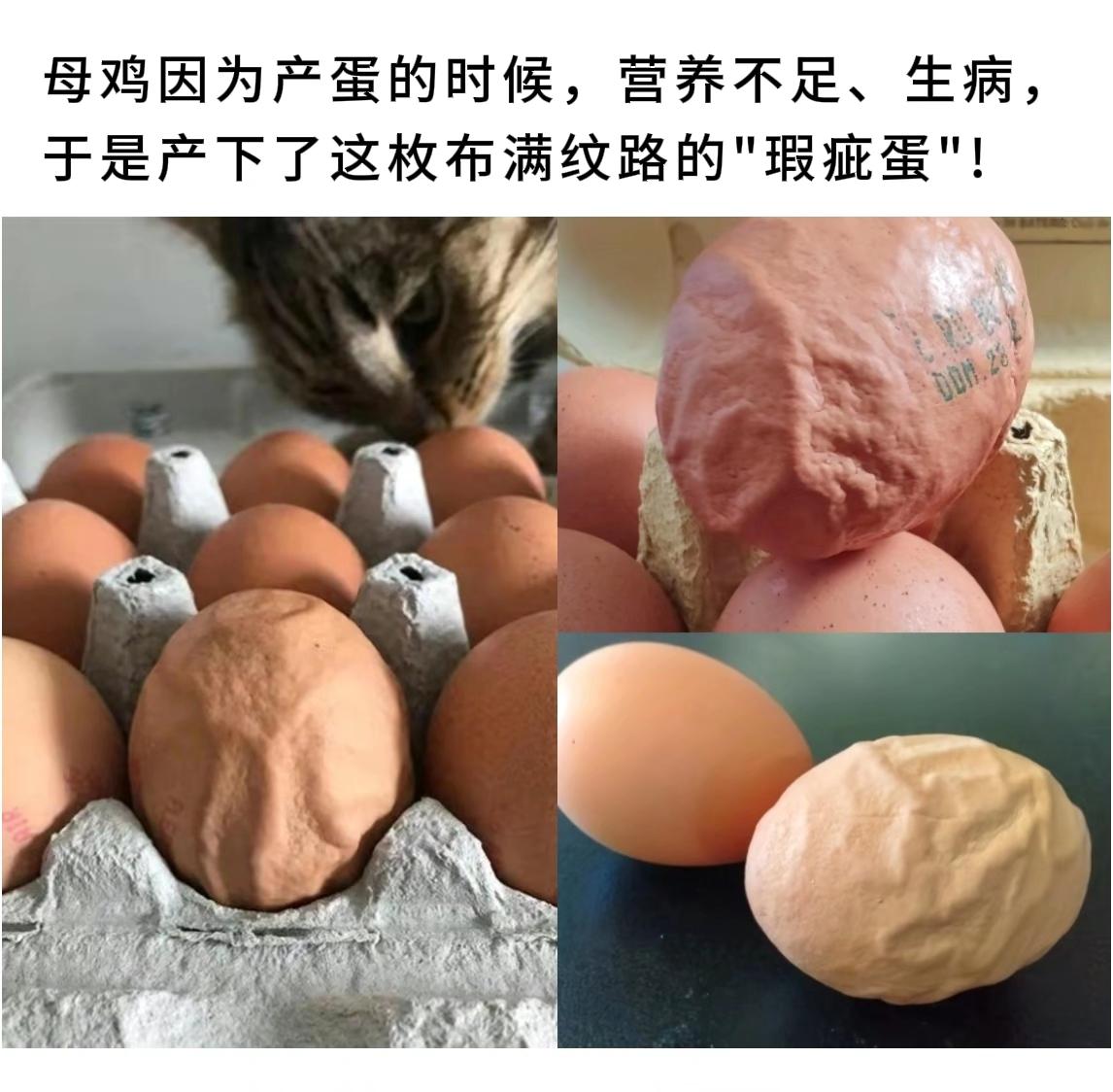 你见过这样的鸡蛋吗？母鸡因为产蛋的时候，营养不足、生病，于是产下了这枚...