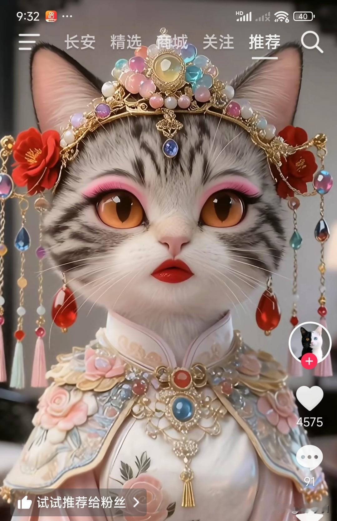 美人猫孩子，谁看都喜欢，比外国猫好看好看多了。中国三花猫确实美得很！它就是猫界