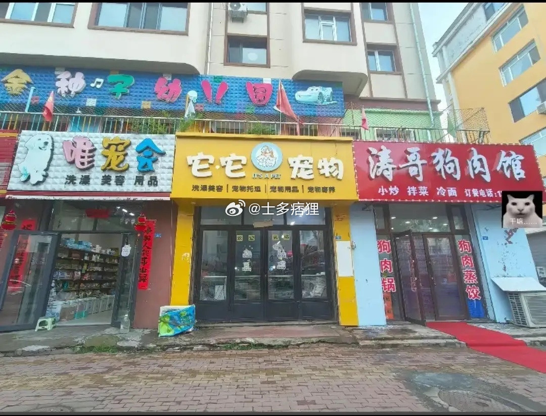 狗肉馆的老板是真的勇，旁边两家宠物店，他在旁边开了个狗肉馆，做到了让整条街的人都