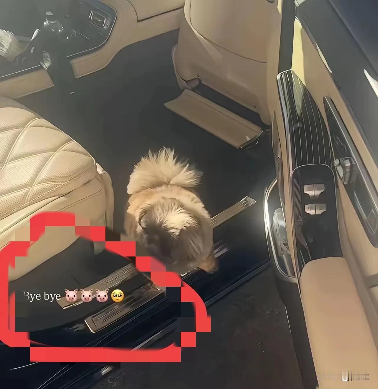 马筱梅说要离开菲宝几天了，因为要飞湾湾陪玥儿箖箖过圣诞节。据说，马筱梅原本2