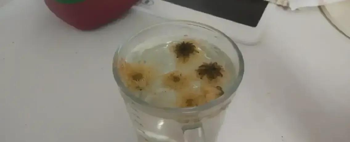 亲戚托公务员给中专收银员的闺女找对象，被一句“条件差太多”顶回来。25岁，超市