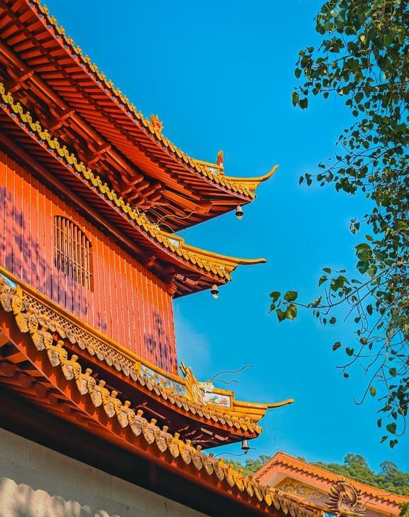 凤山福水福盈地，深圳宝安第一山凤凰山打卡好喜欢深圳宝安的凤凰山⛰，这里的沿溪