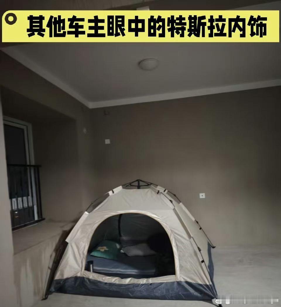 关于特斯拉内饰各个车主们的看法