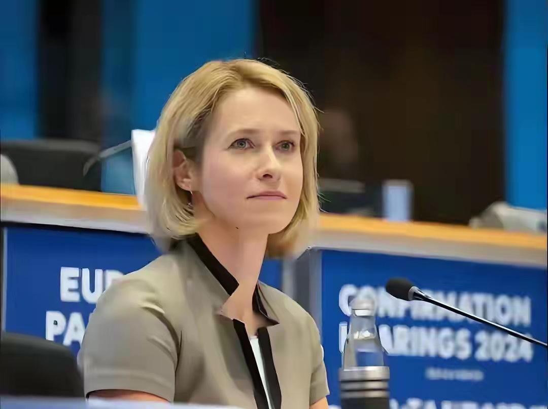 能把中、美、俄同时惹毛，这位欧盟新掌门，是真的有点本事这位欧盟外交的“新掌门”