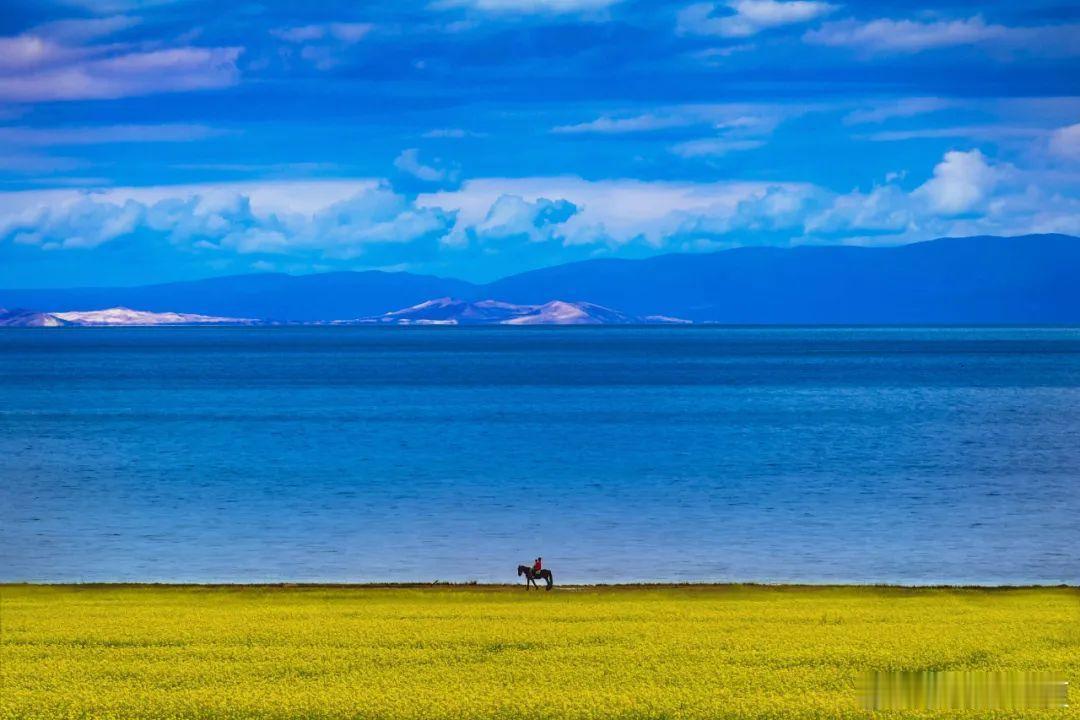 青海湖：一滴远古的蓝色眼泪～​​​