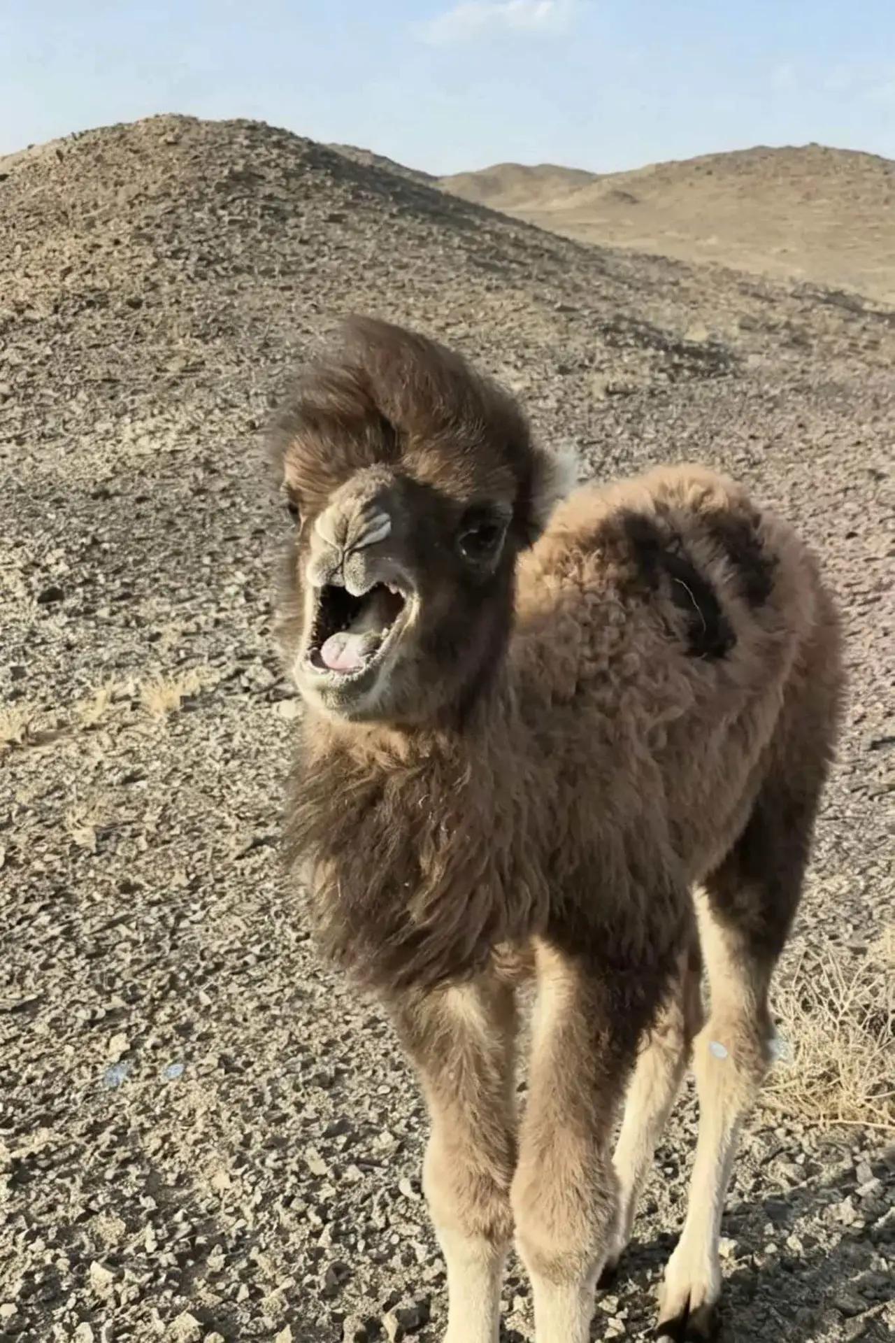 说实话，刚看到“故宫年入23亿还要国家掏钱”这个热搜时，我也嘀咕了一句：钱呢？