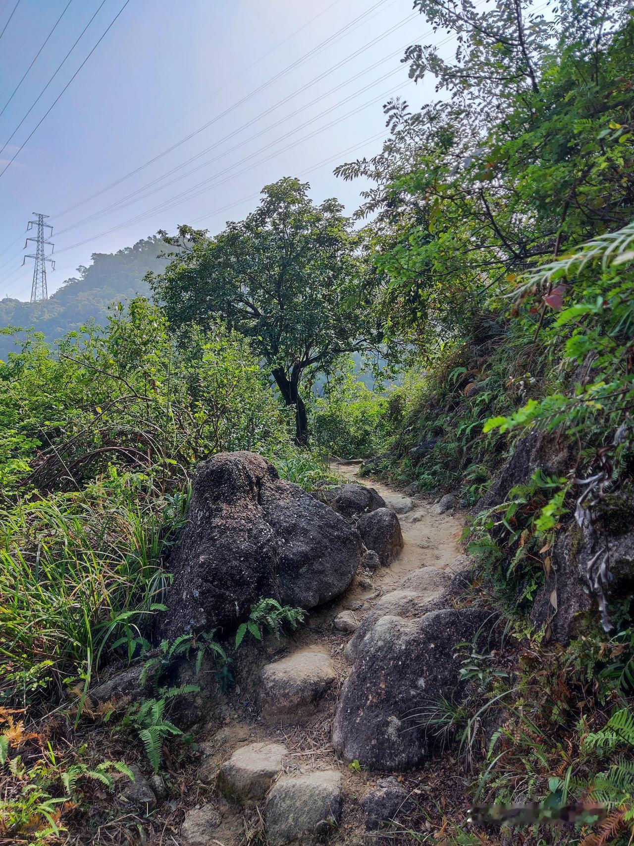 大好的天气，不出来走走，真对不住祖国的锦绣山河[微笑]走走拍拍其乐洋洋也！