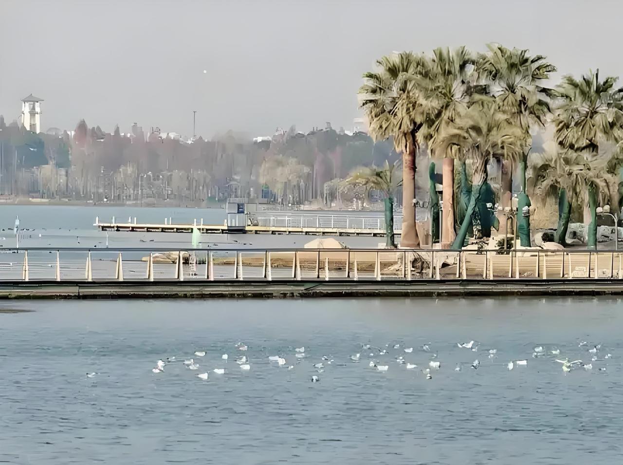 无锡冬至后风景长啥样？现用六张摄友冬至后拍摄的照片，请大家