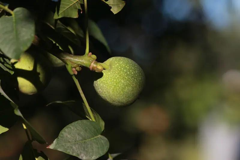 这熟悉的配方，满满都是美国入侵伊拉克的味道！你有没有发现，有些套路一出场，