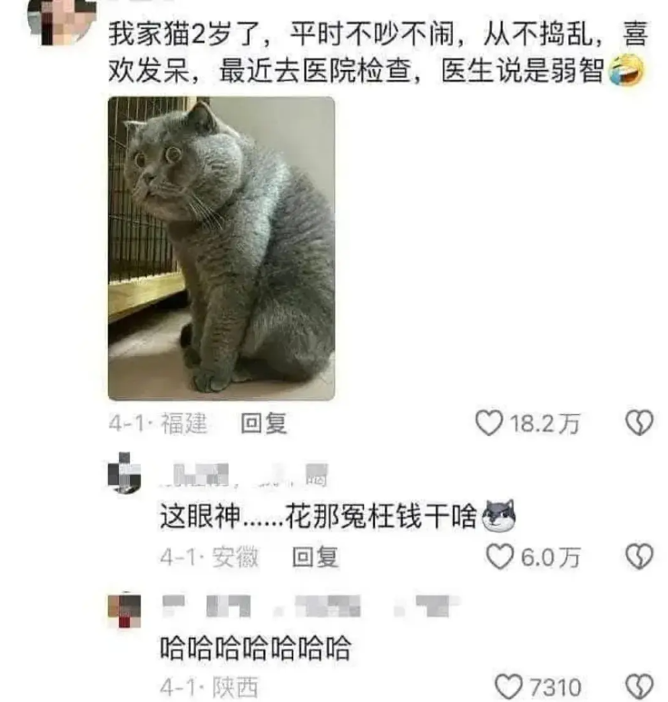 花那冤枉钱干嘛，一眼就看出了