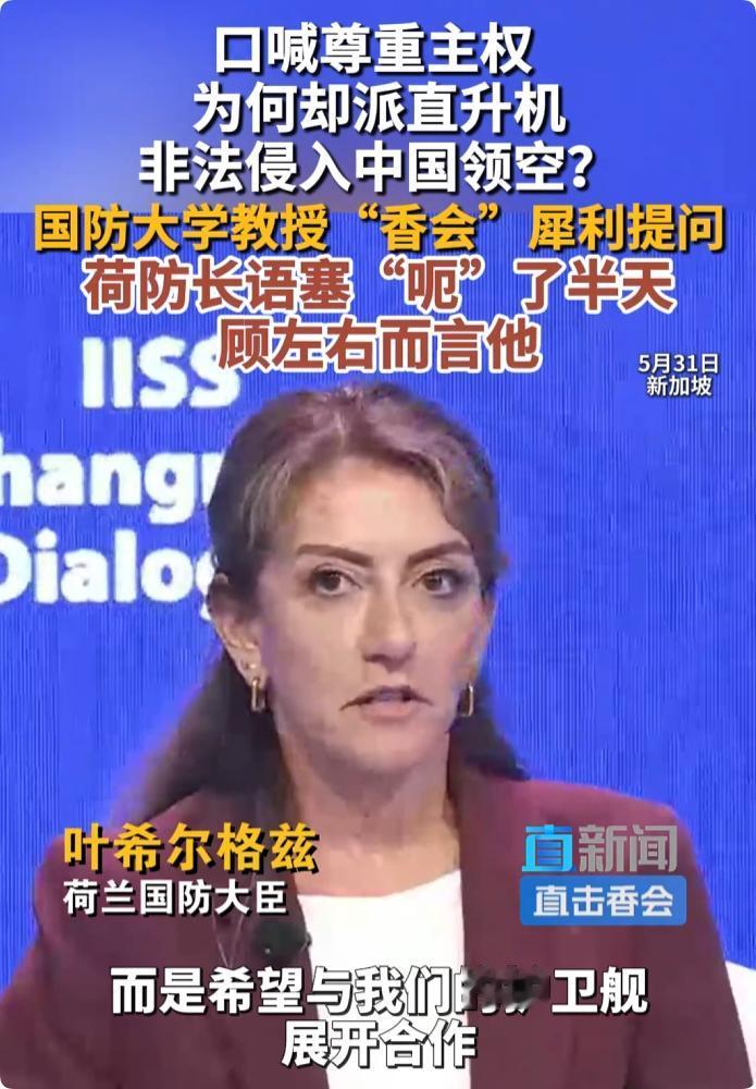 挨个点名！解放军质问荷兰：为何入侵中国领空？荷防长“呃”了半天。 新加坡香会